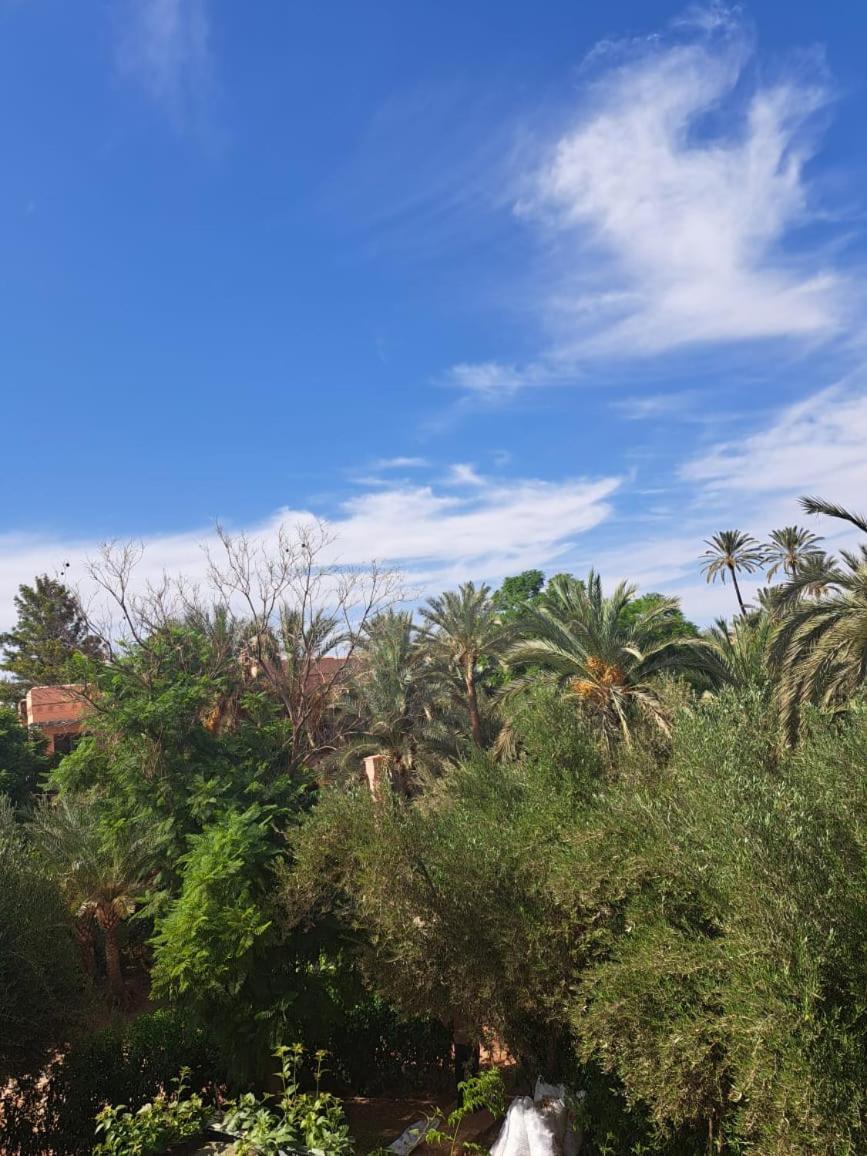 Les Jardins De La Palmeraie Apartment Marrakesch